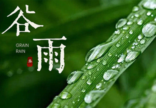 YOU°DO优度 | 谷雨